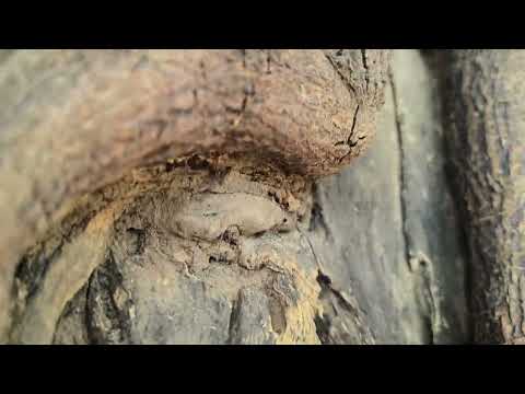 XXL XXL Pororo LOVE FreeStyle Romantic Videos