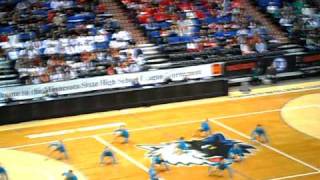 Mounds View Dance Team Jazz State 2011