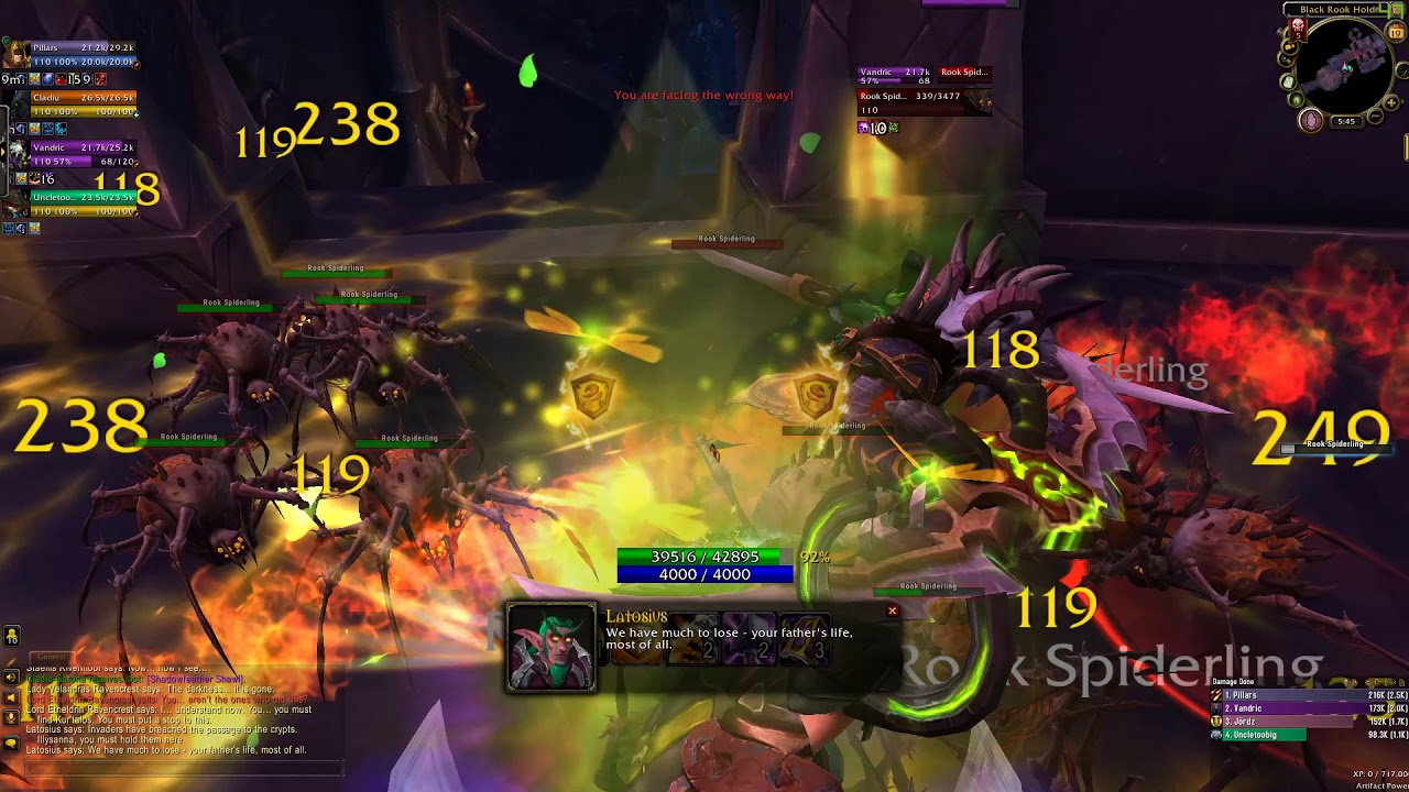 Prot Paladin Guide 8.0