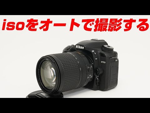 ショット数2891回で美品✨Wi-Fi✨自撮り✨Nikon D5500　740 Nikon Zf RevieItwasthebestcamerathatremindedmeofthejoyof