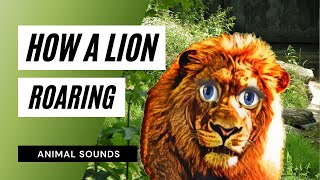 How A Lion Roaring Sound - Intense Lion Roaring Sounds Scary Lions Roar Sound Effect