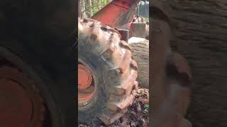 #timberjack #winching #oldschool #valogger #562xp #logging