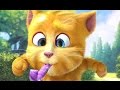BINTANG KECIL VERSI KUCING LUCU GINGER ~LAGU ANAK INDONESIA TERPOPULER 2015 BINTANG KECIL VERSI KUCING LUCU GINGER ~LAGU ANAK INDONESIA TERPOPULER 2015
