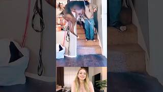 Funny Viral Dog Videos | When Dogs Get Too Excited 😂🐶