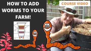 VIDEO 9: How to Add Worms to Your Worm Farm VIDEO COURSE