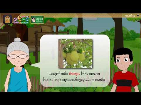 บทอ่านเสริมเติมความรู้เรื่อง ไม้มงคล - สื่อการเรียนการสอน ภาษาไทย ป.6