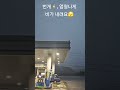 오늘은 주인공 목요일 비가.☔ #shorts#동물농장