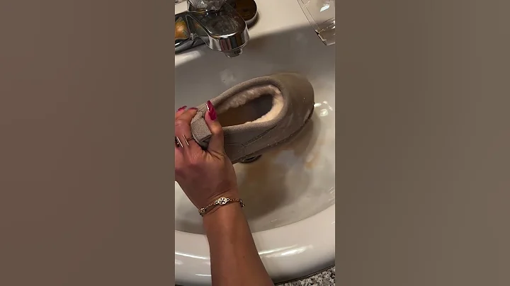 BearCoat™ Rain & Stain Repellent!