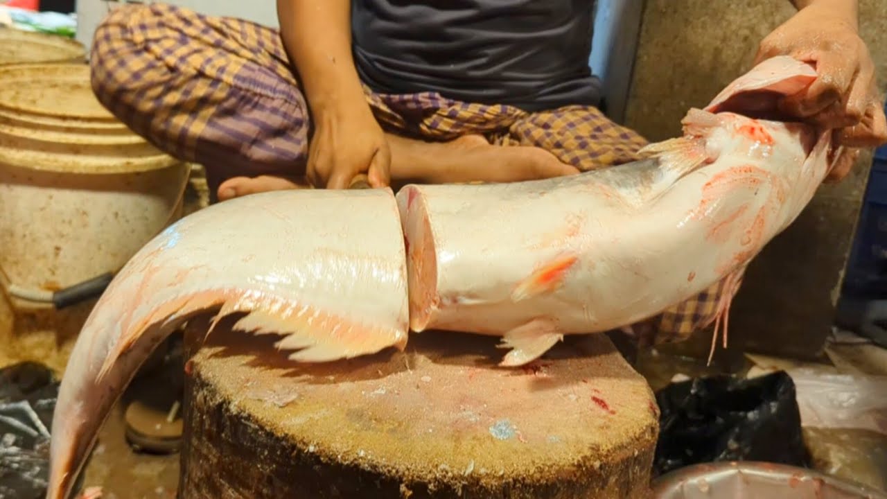 Pankash Fish Incredible Huge Pangas Fish Cutting Skills In Bangladesh Local Fish ...