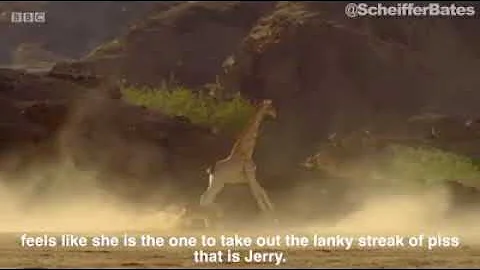 David Attenborough & Jerry the Giraffe