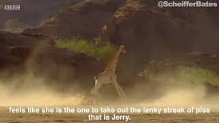 David Attenborough & Jerry the Giraffe