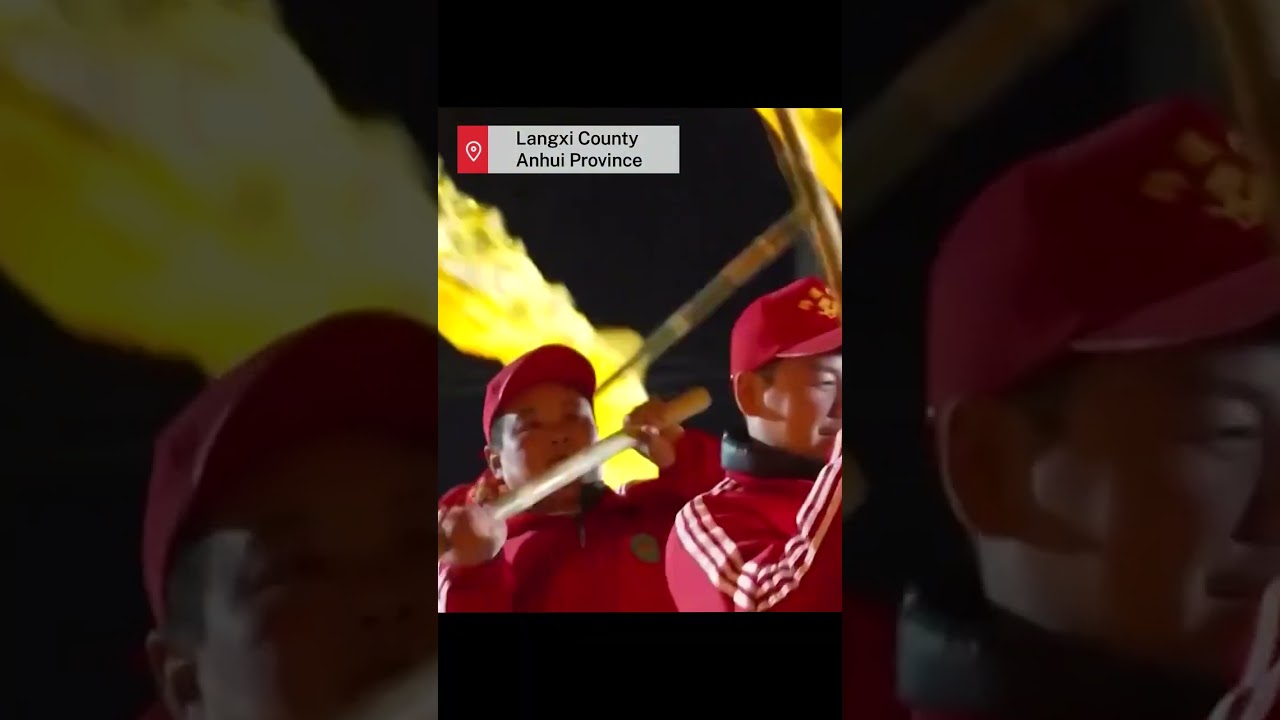 Fish and dragon dance parade for Lantern Festival