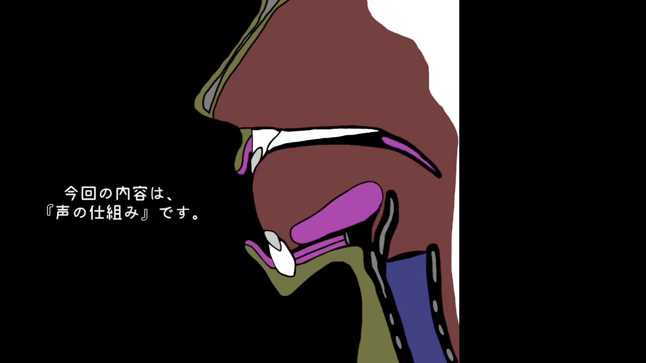 【声の仕組み】どうやって声が出てるの?簡単に説明します。 - YouTube
