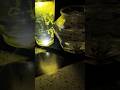 fish And #trending #video #song #fishlover #viralvideo