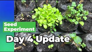 Garden Seed Experiment - Update #1!