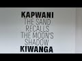 Kapwani Kiwanga Makes Houston Debut In New Moody Exhibit Kapwani Kiwanga Makes Houston Debut In New Moody Exhibit