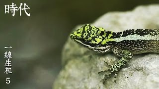 Stories of the Era 20170428 Living in a Tiny World Ep5 A Glean Hope of Survival