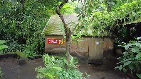 burgers zoo 24072021 short movie