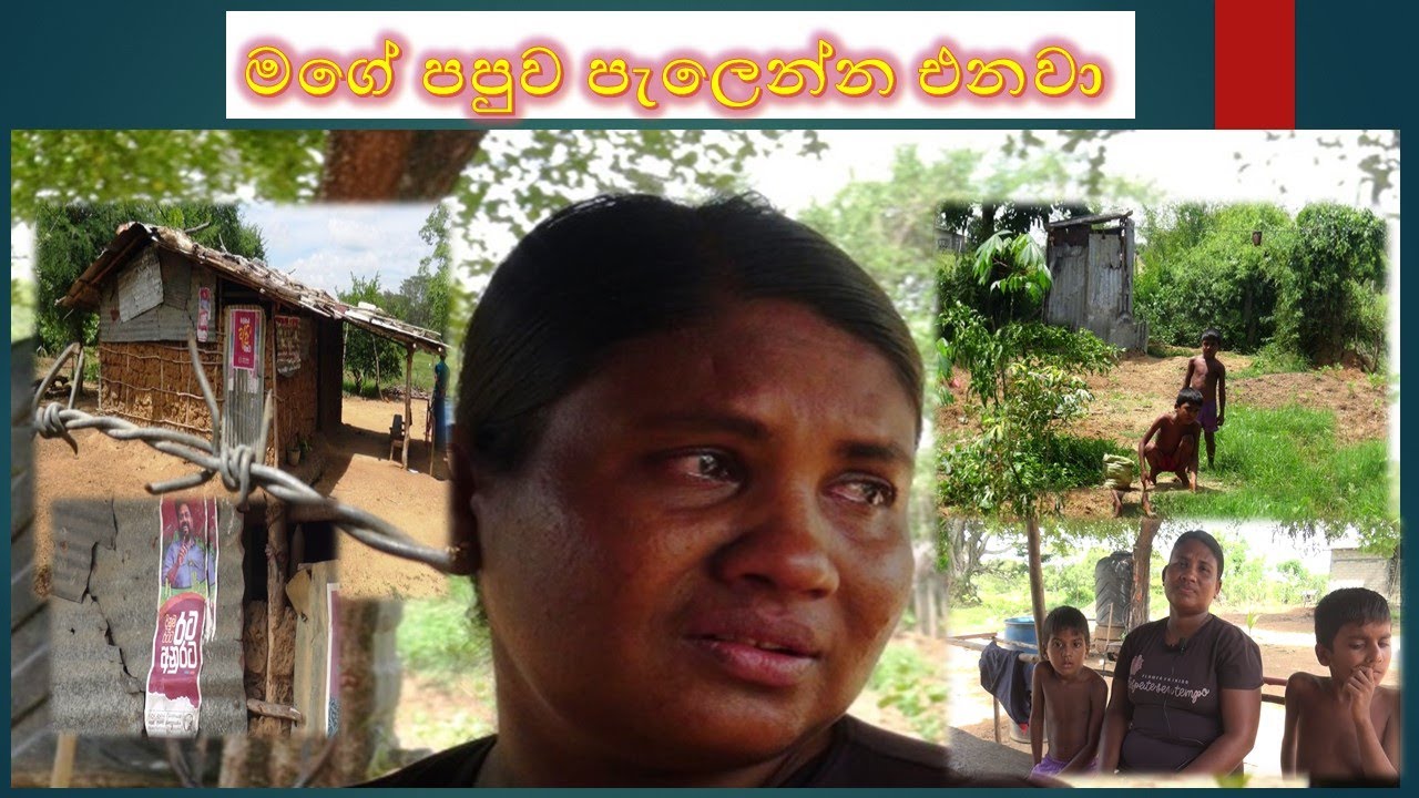 abadhitha puthala denna මගේ පපුව පැලෙන්න එනවා - YouTube