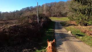 Safe descent homeward after Gouache's first time out on lead rein .. "We'll call that a success!"