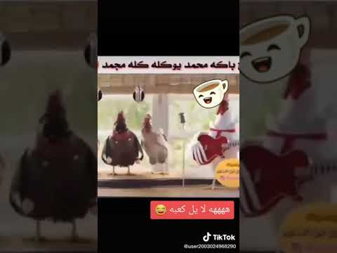 الديك بأكه هاني سو على برياني 