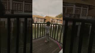 mancing di avillion