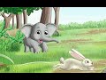 ILLA Elephant story