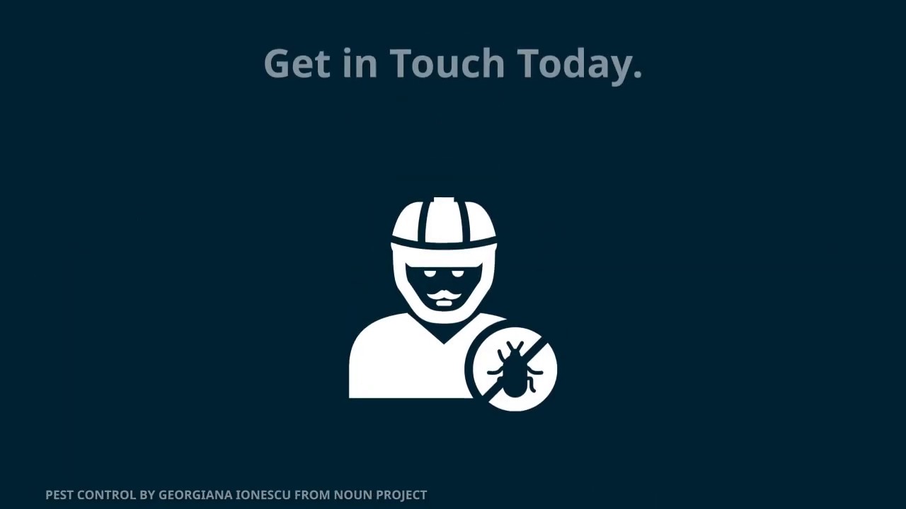 Ocala Mouse Exterminator Quotes