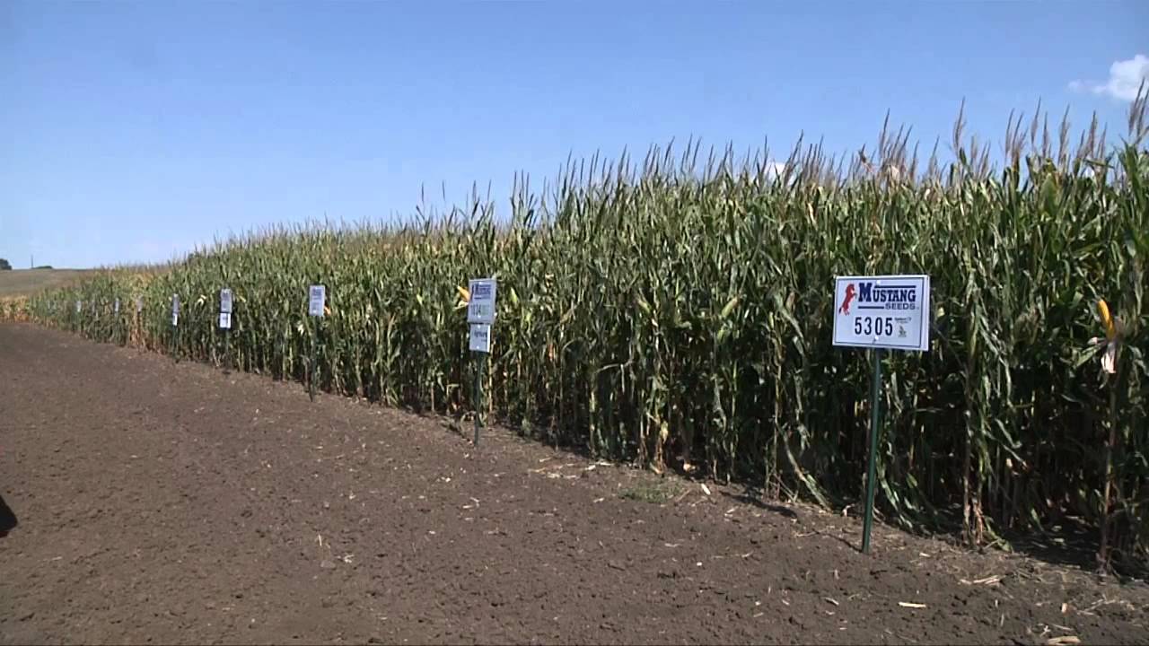 Seed Companies Plant Future Technology