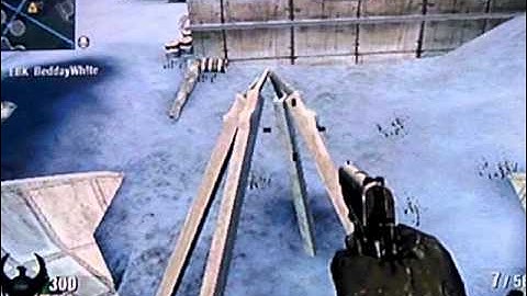 COD Black Ops (Wii) Array Glitches