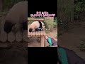 후이놀리는 장난꾸러기 승희임오 🥰