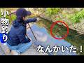 小物釣り。水路で釣りをしてみたら、最後の最後に…