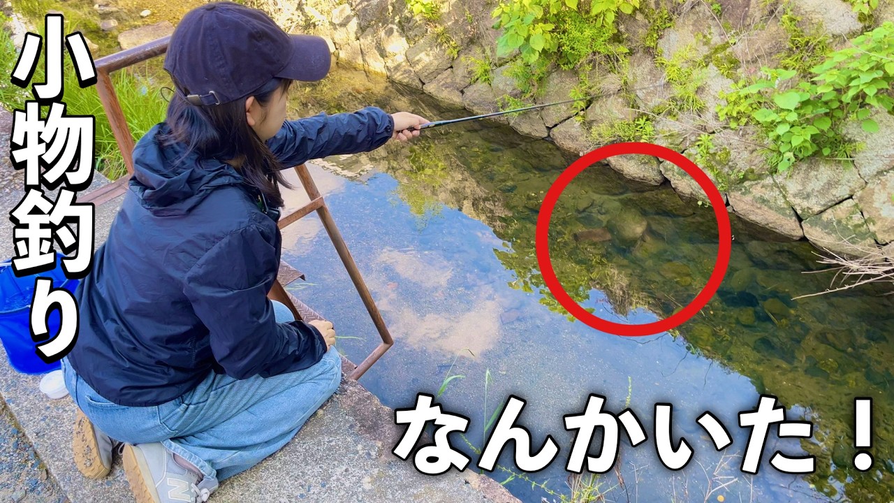 小物釣り。水路で釣りをしてみたら、最後の最後に…