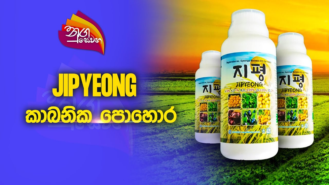 Nugasewana | Jipyeong - 100% කාබනික පොහොර | 2023-04-13 | Rupavahini