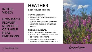 Bach Flower Remedies - Heather (and Gorse)