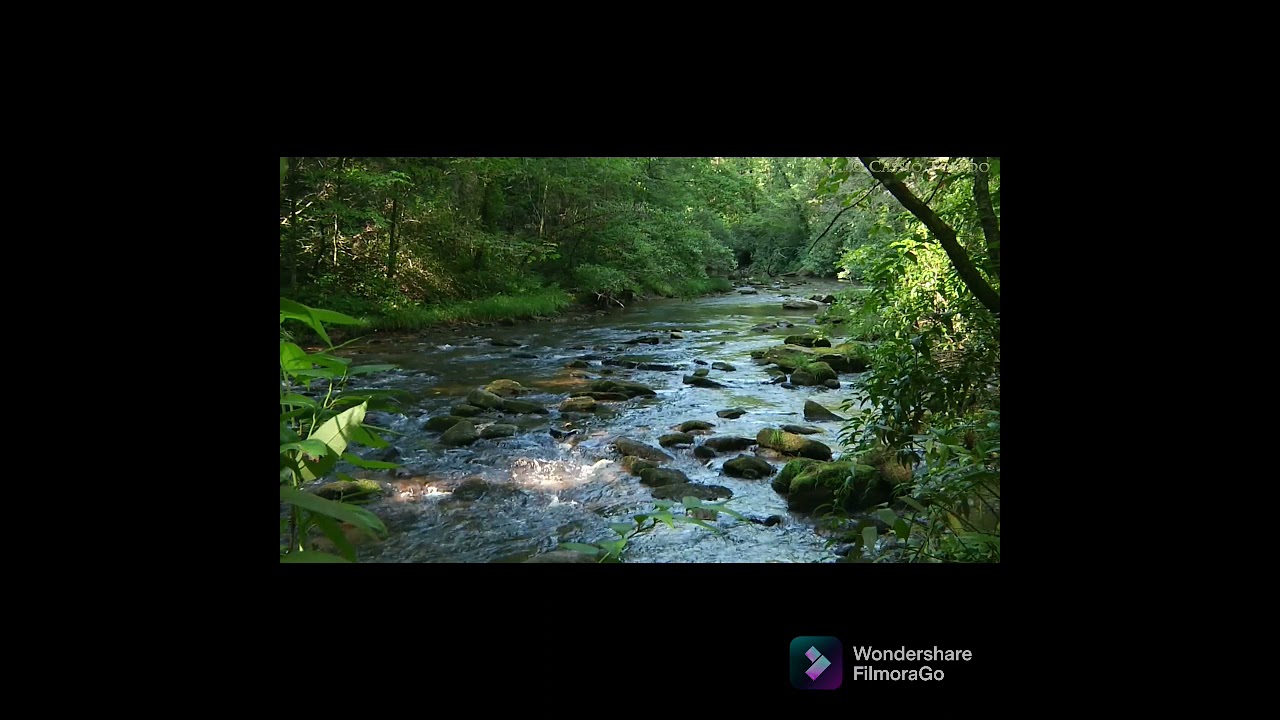música para relajarte (sonidos de rio)