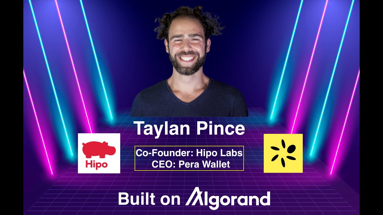 *TAYLAN PINCE*  [ Hipo Labs / Pera Wallet / Algorand DeFi / $ALGO ]