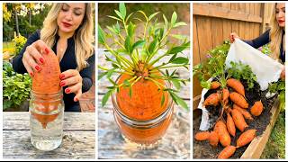 10 Diy Garden Ideas For Growing Vegetables Simple Home Gardening Tips