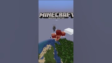 Java vs Bedrock - Minecraft Wither