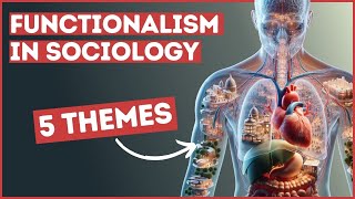 Functionalism In Sociology An Overview Of The 5 Key Themes