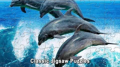 How beautiful these sea creatures are! | Jigsaw Puzzles (16-1)