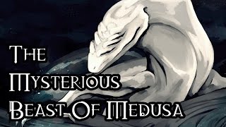 The Mysterious Beast Of Medusa - 40K Theories