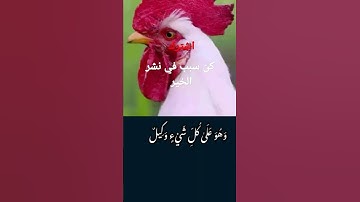 #قرآن #قران #قران_كريم #قرآن_كريم #آيات #ايات #ايات_القرآن_الكريم #ايات_مؤثرة #تلاوات #تلاوة_خاشعة