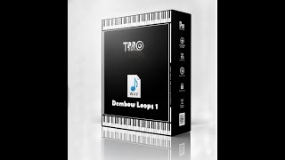 LIBRERIA REGGAETON DEMBOW LOOPS 1 LIBRERIA REGGAETON DEMBOW LOOPS 1