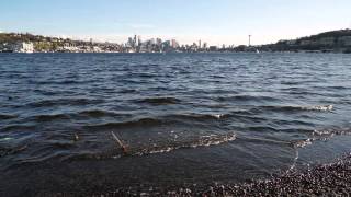Sony Alpha 7 II Daylight Sample Video #2