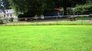 422 Vance Street Roanoke Rapids Back Yard