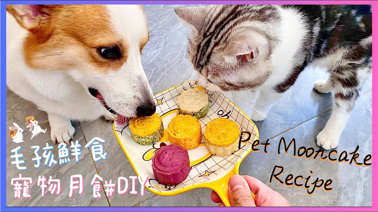 【煮食日記・烘焙系列】🐾寵物鮮食月餅DIY 🥮｜🐱Mooncake for Pet🐶｜🪶毛孩鮮食料理 🍽️｜🎐中秋節貓狗美食😻｜⚫️團團圓圓⚪️｜詳細食譜大公開🥣｜f.t. Goba🎶