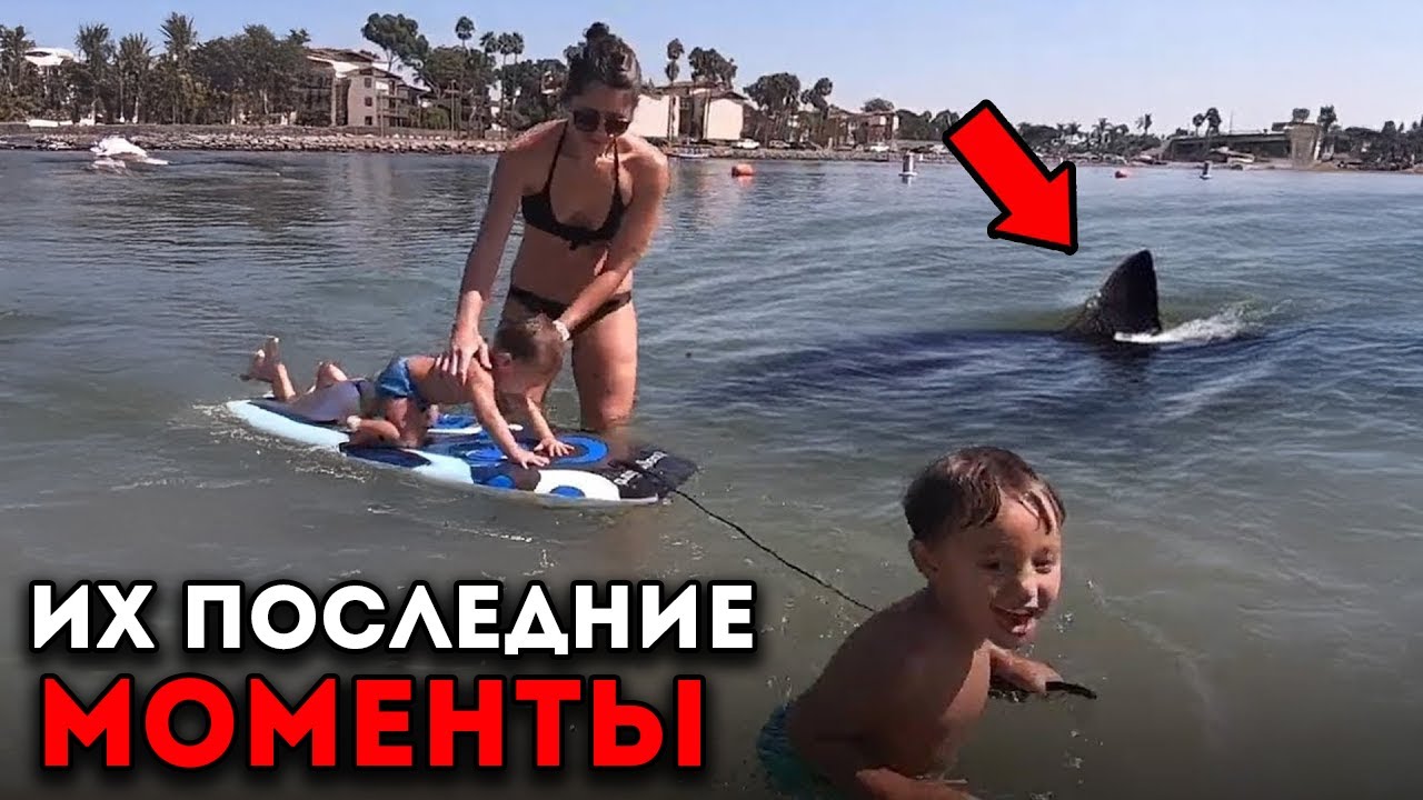 Эти Семьи Были Съедены За Живых Смертельными Животными!