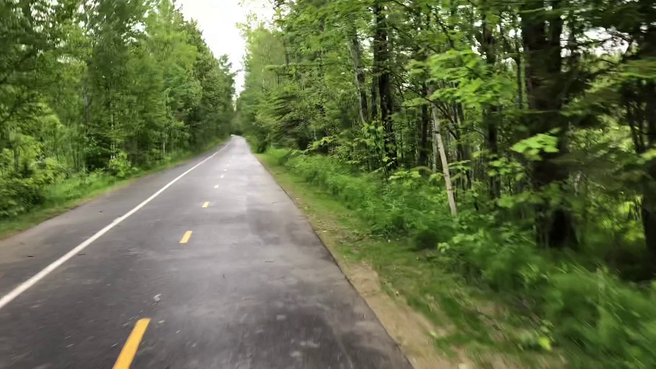 The Happiness of all Mankind