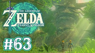 Great Deku Tree - The Legend of Zelda: Tears of the Kingdom (Lets Play Part 63)